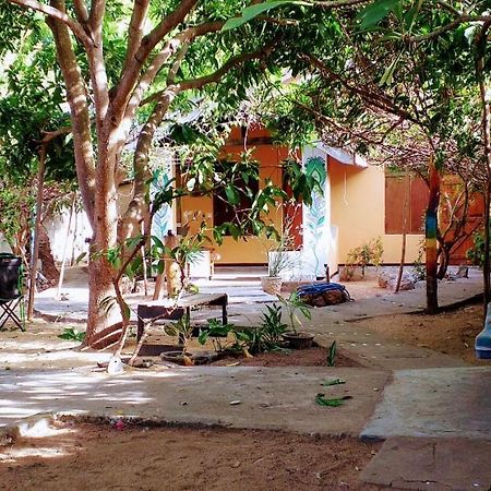 Little Bay Arugam Bay Hostel Exterior foto